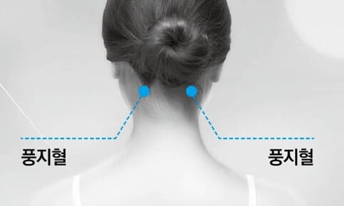 승모근 지압점